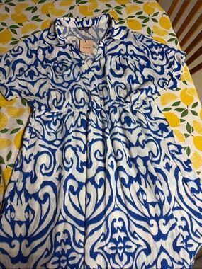 BloomChic Blue and White Midi Dress